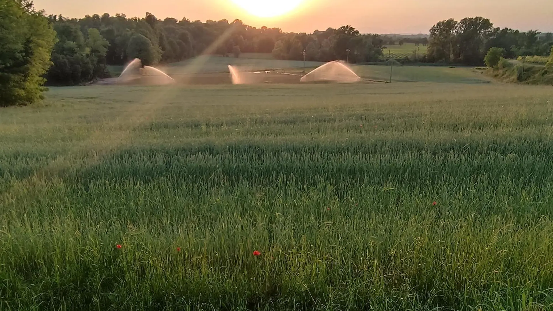Séjour à la ferme Corte Fattori Monzambano